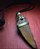 Fossilized Tooth Wrapped in Gold/ necklace