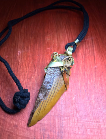 Fossilized Tooth Wrapped in Gold/ necklace